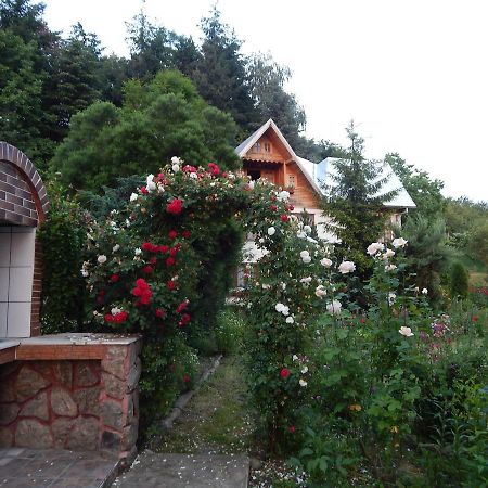 Pensiunea Paradis Borobanesti Экстерьер фото