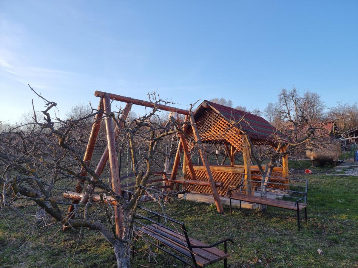 Pensiunea Paradis Borobanesti Экстерьер фото