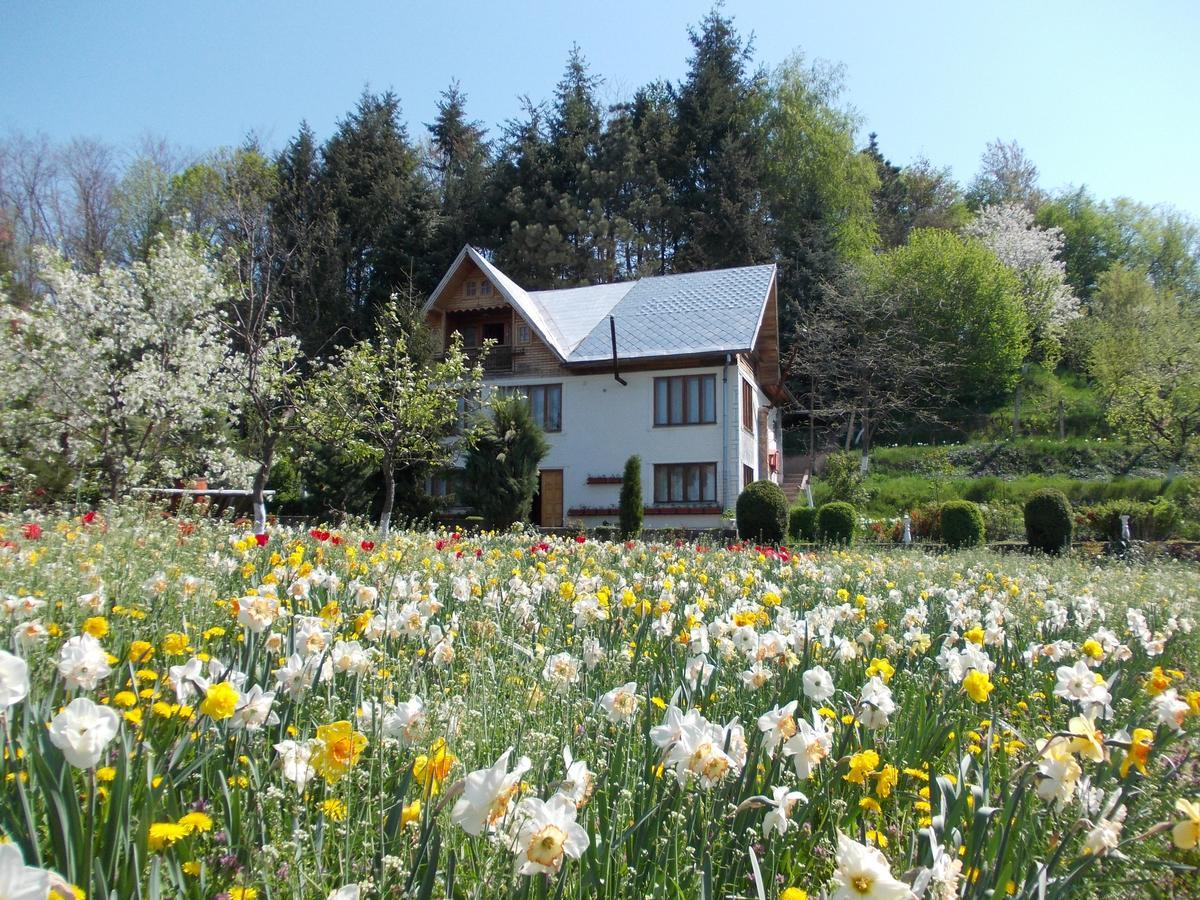 Pensiunea Paradis Borobanesti Экстерьер фото