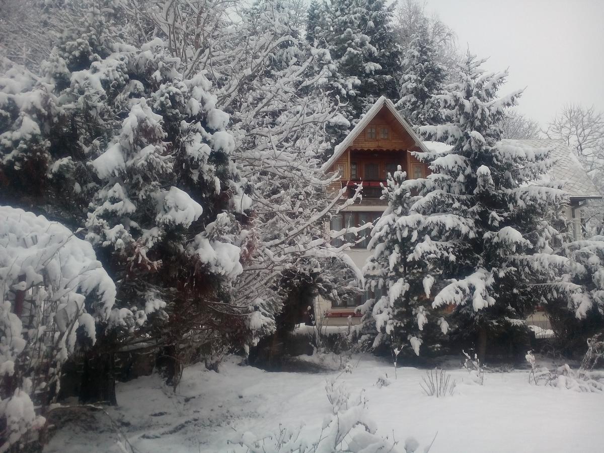 Pensiunea Paradis Borobanesti Экстерьер фото